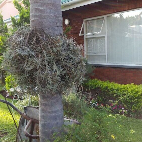 펜션 Memra Guest House