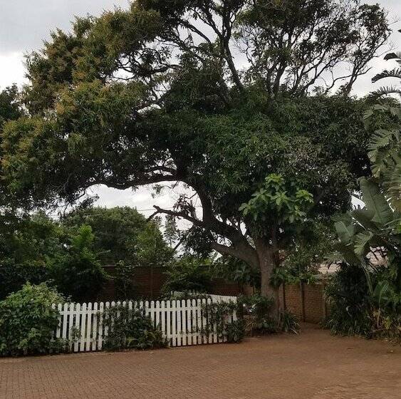 פנסיון Ocean Park Guest House