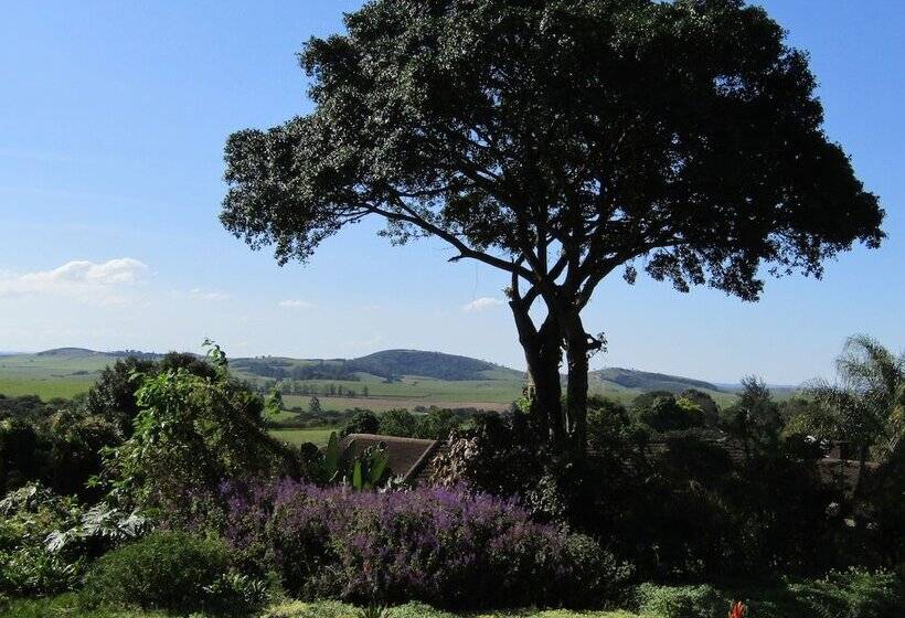 بنسيون Sugar Hill Manor