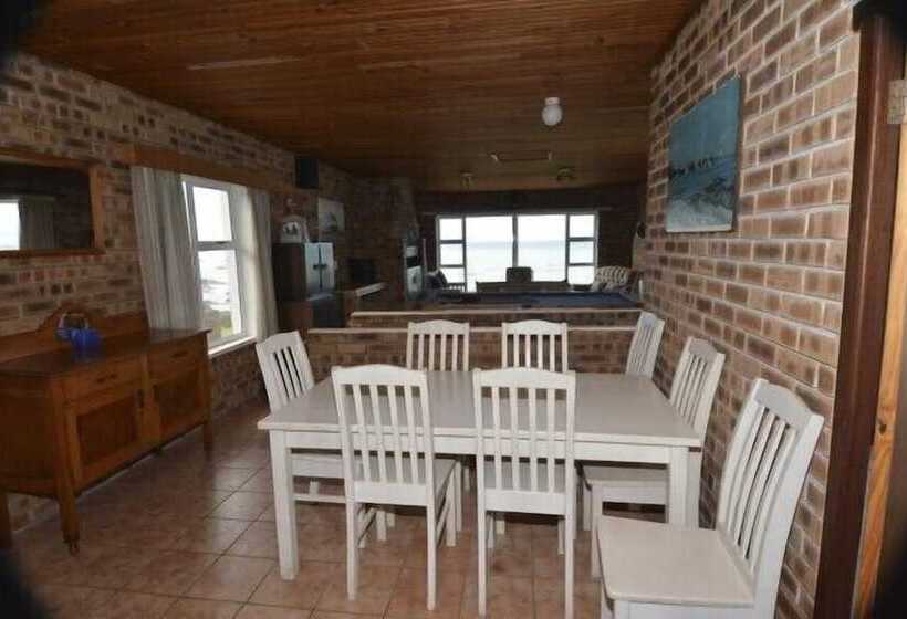 膳宿费 White Shark Backpackers