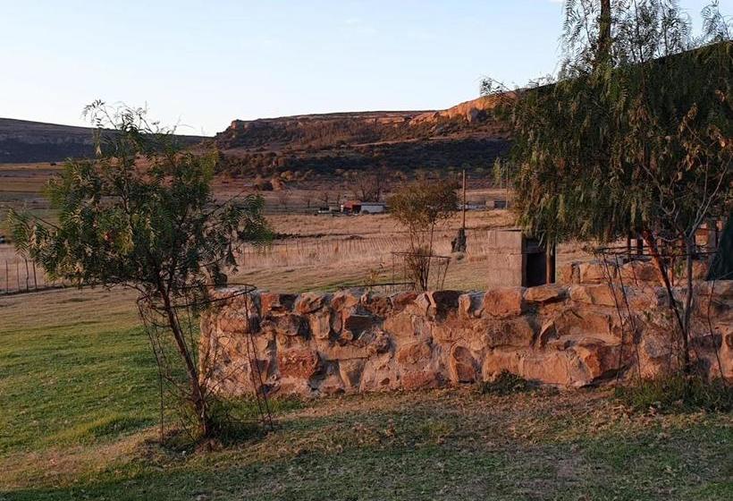 Springwater Cottages