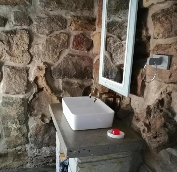 Springwater Cottages