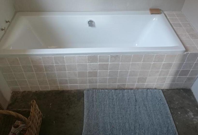 Springwater Cottages