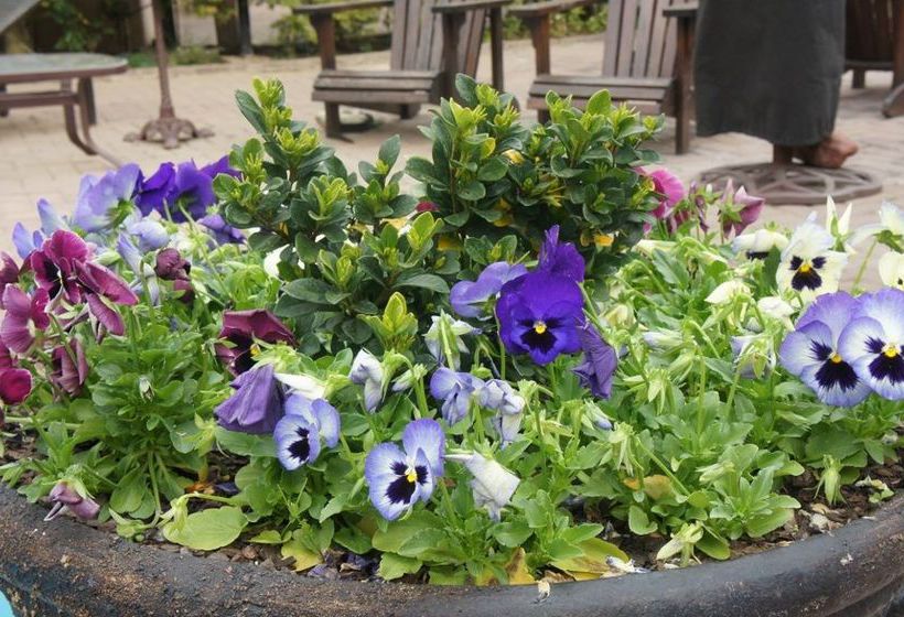 צימר The Lapha Guesthouse & Conference Centre