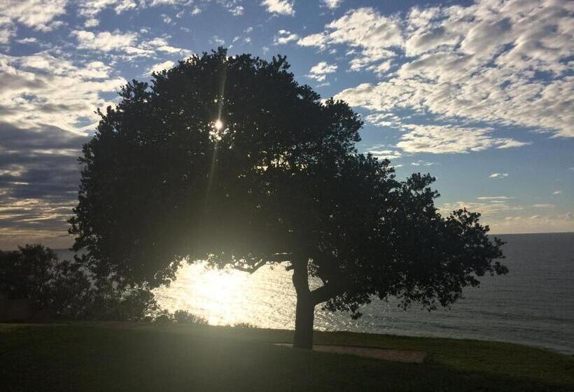 The Milkwood Beach Apartments