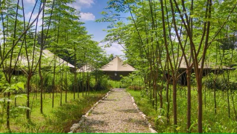 فندق Aalia Jungle Retreat & Spa   Claridges Collection