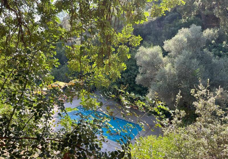 فندق Günes Holiday