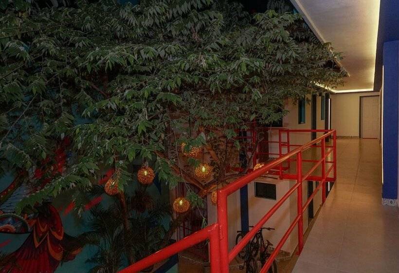 فندق Linda Vecindad Playa Del Carmen