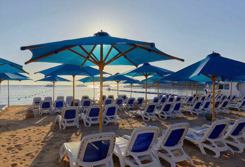 ホテル Naama Bay Suites & Spa