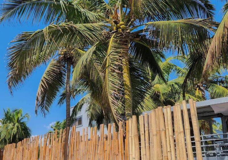 فندق Serenity Terraces Beach