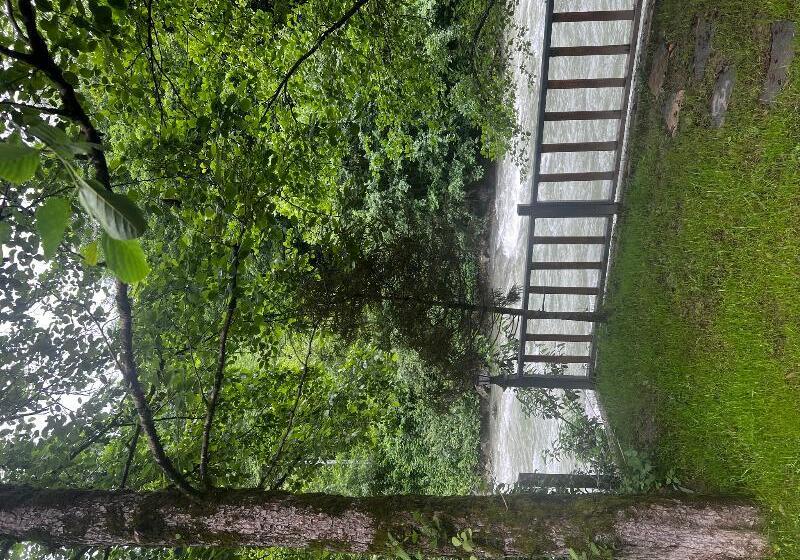 酒店 Zamane Evleri