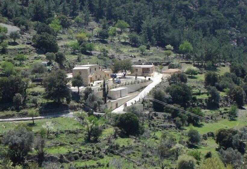 Akros Oreon Green Small