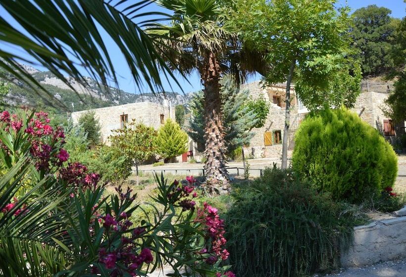 Akros Oreon Green Small