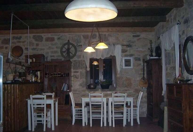 Akros Oreon Green Small