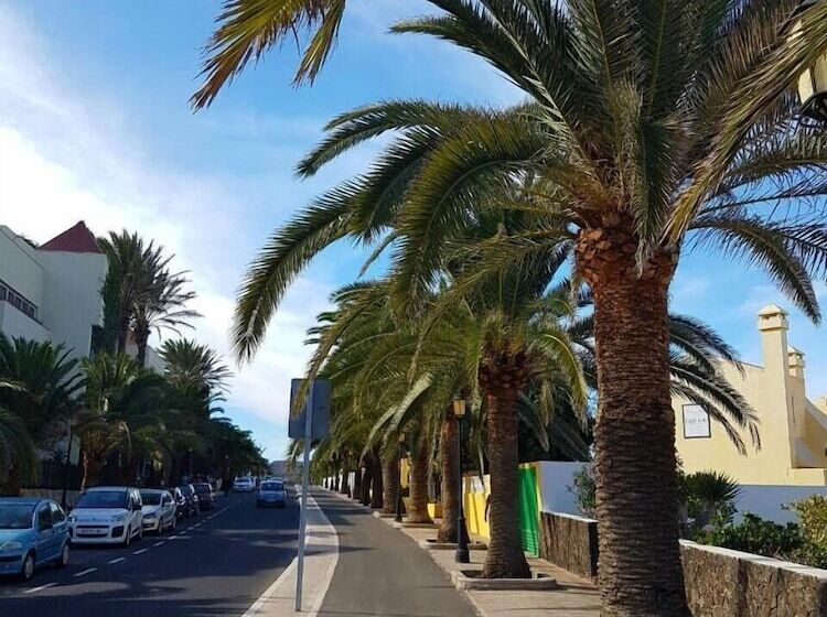 旅馆 International Surf Camp Only Surf