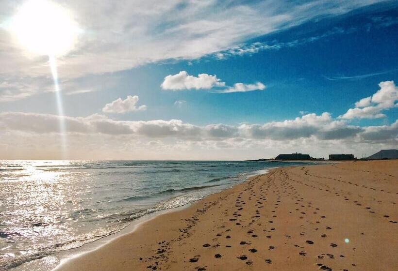 旅馆 International Surf Camp Only Surf