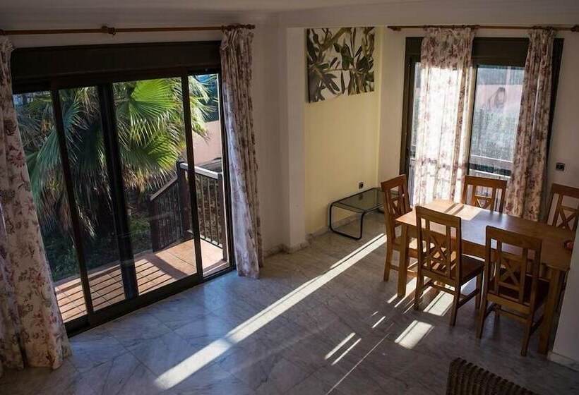 旅馆 International Surf Camp Only Surf