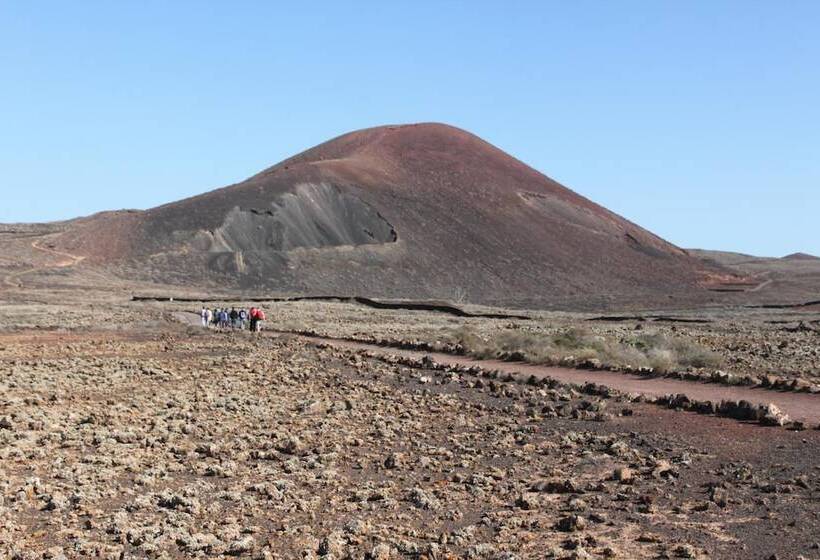 旅馆 International Surf Camp Only Surf