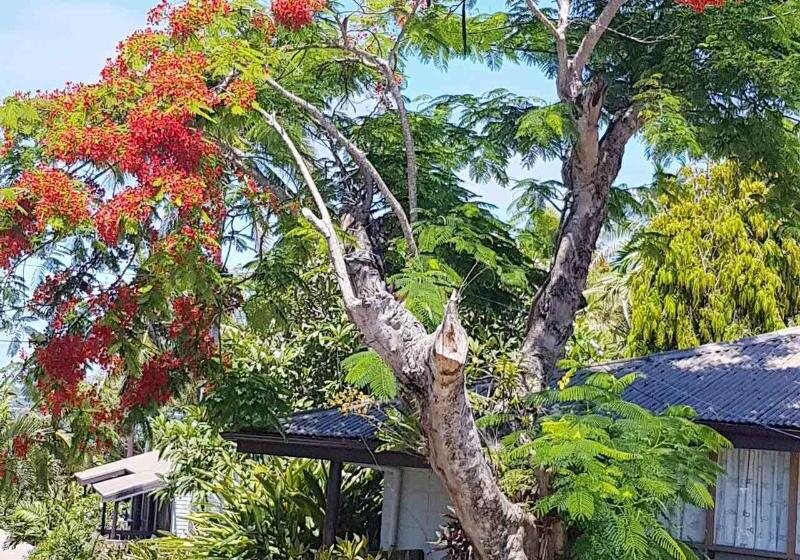 The Crow S Nest Resort