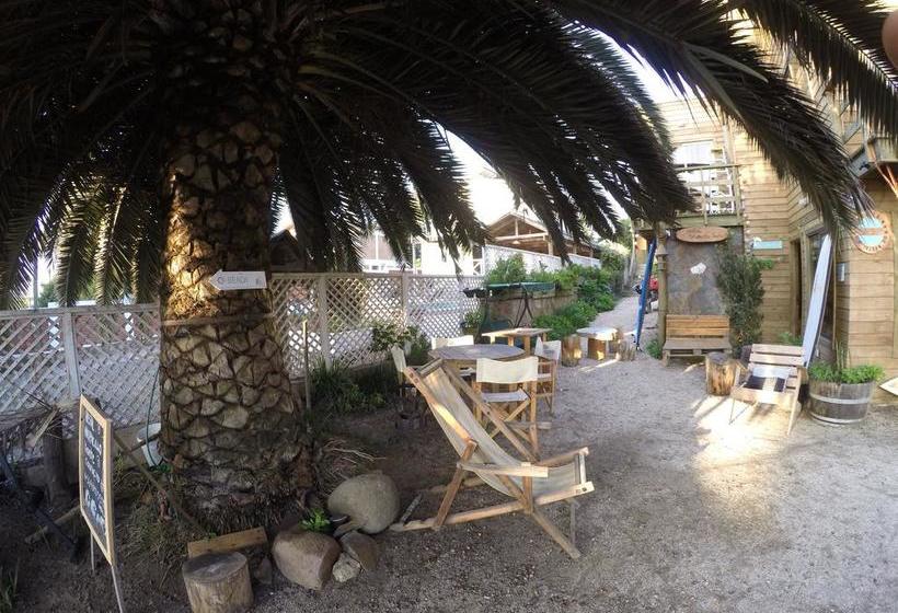 Hostal Maitencillo Norte