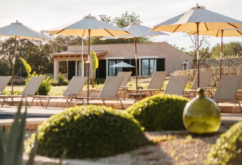 Отель Agroturismo Ses Vistes