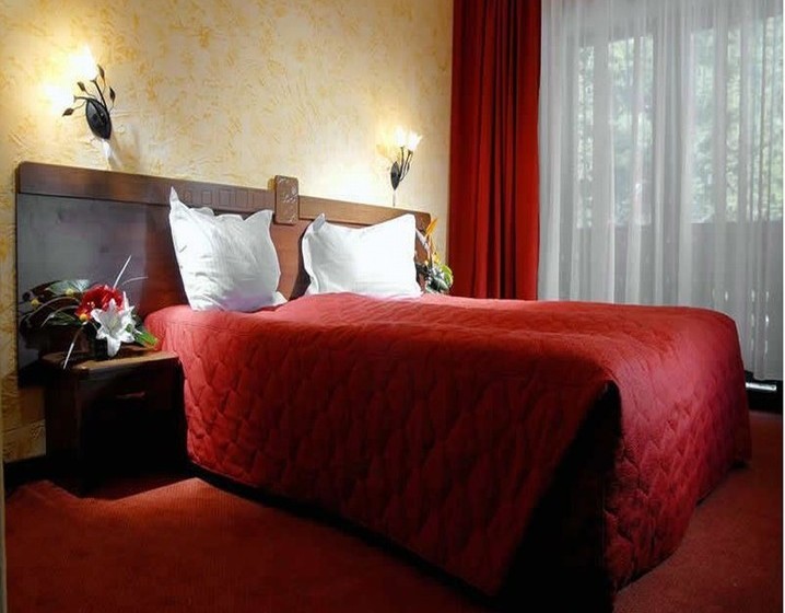 בית מלון כפרי Cabana Schiorilor Predeal