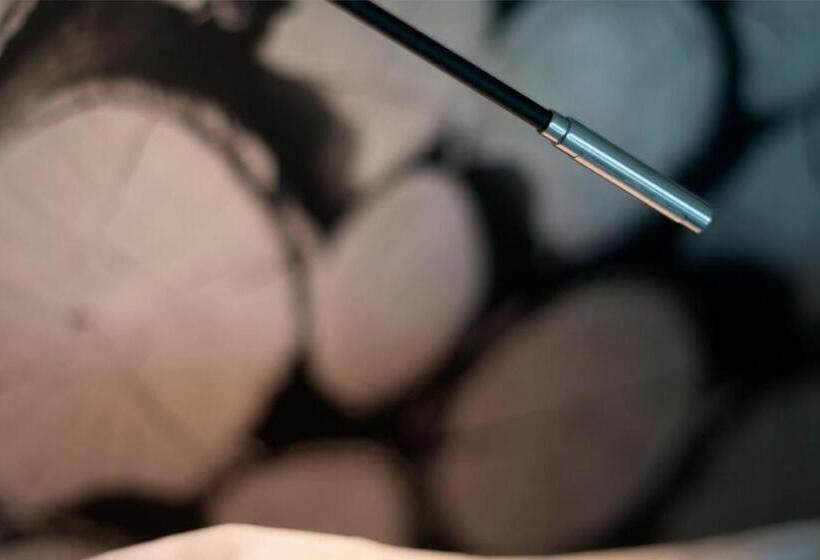 בית מלון כפרי Cal Tonarro