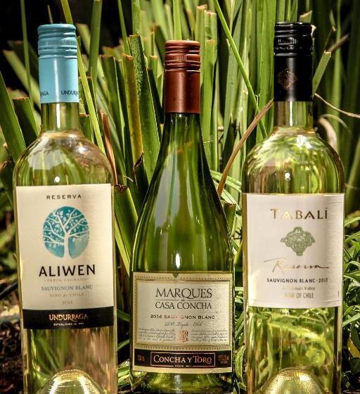 فندق Casa Zapallar