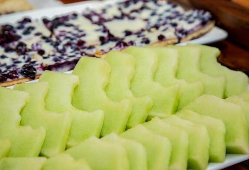 Отель Cumbres Del Sur