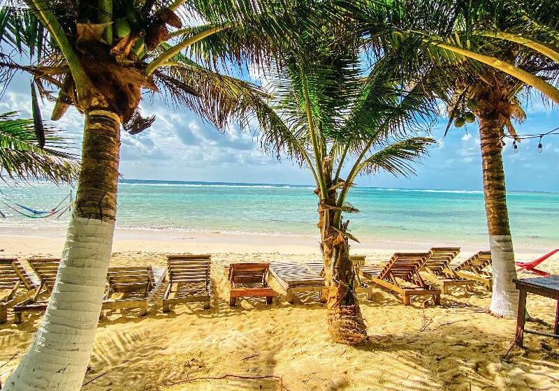 호텔 Eco Cabañas Bluekay