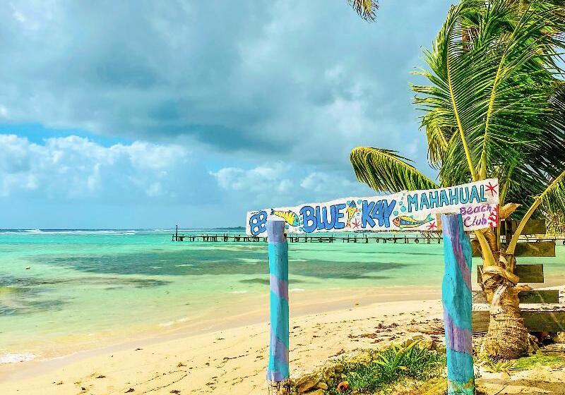 Отель Eco Cabañas Bluekay