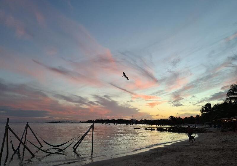 호텔 Eco Cabañas Bluekay