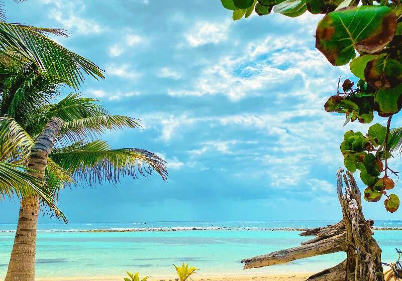 호텔 Eco Cabañas Bluekay