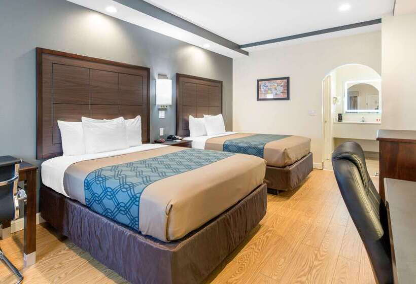 فندق Econo Lodge Inn & Suites Houston Willowbrook