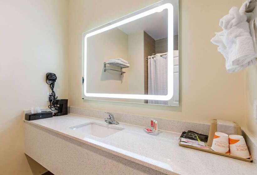 فندق Econo Lodge Inn & Suites Houston Willowbrook