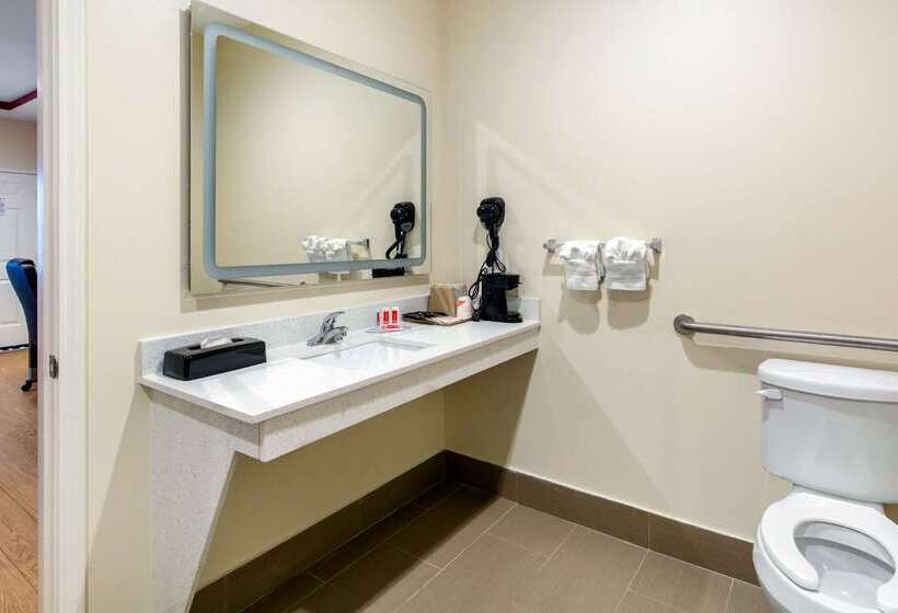 فندق Econo Lodge Inn & Suites Houston Willowbrook