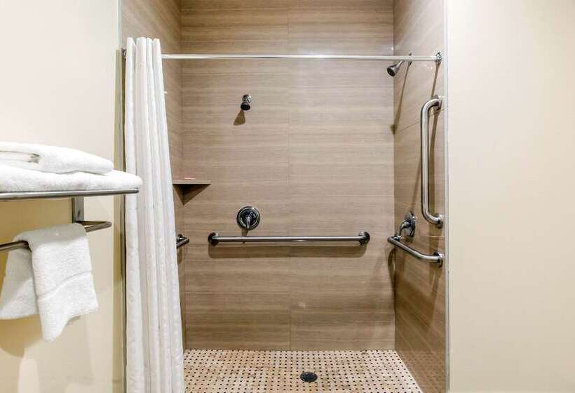 فندق Econo Lodge Inn & Suites Houston Willowbrook