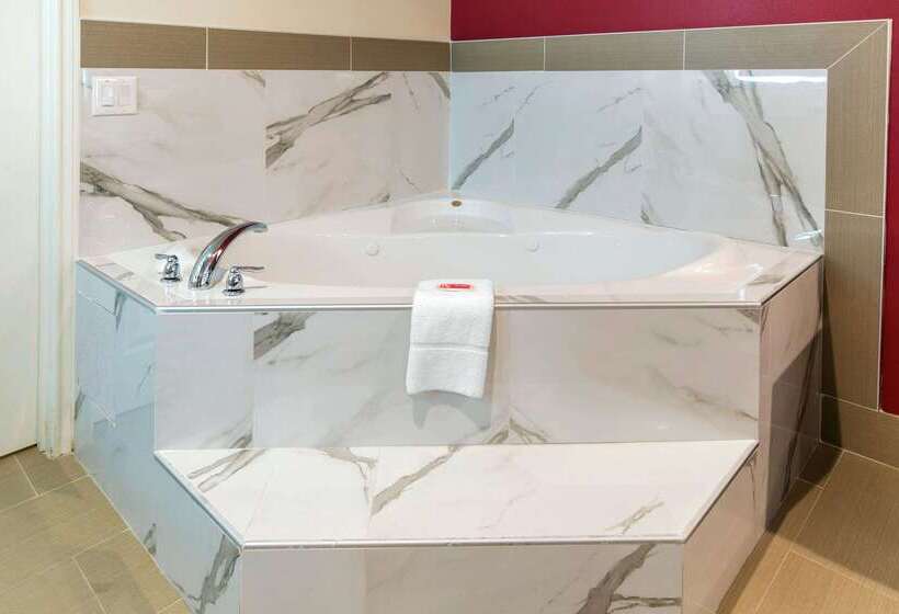 فندق Econo Lodge Inn & Suites Houston Willowbrook