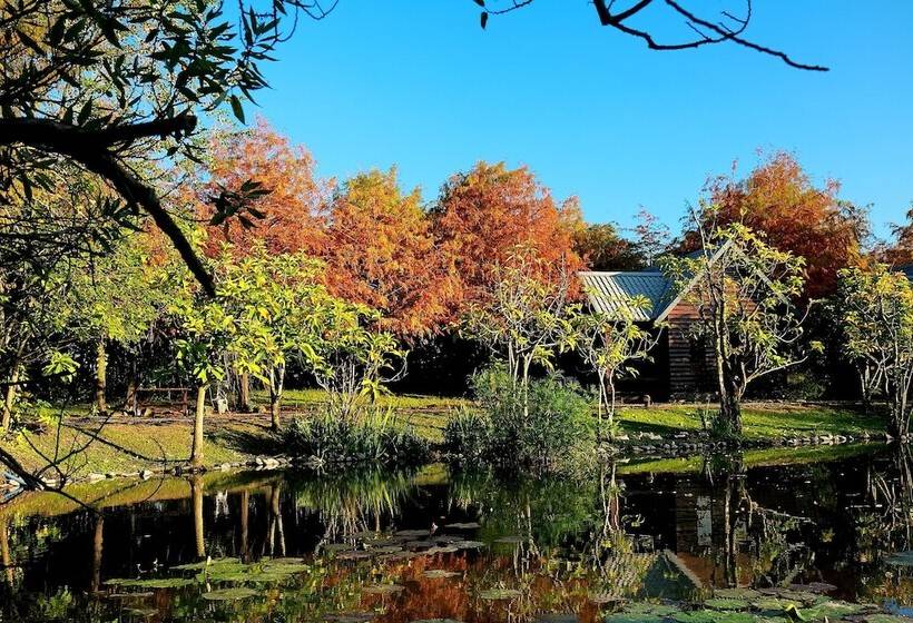 هتل Green Forest Villa