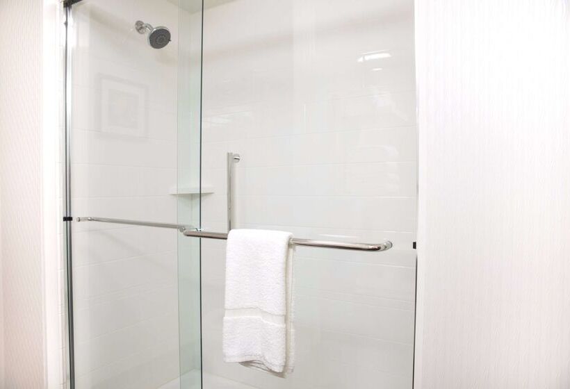 فندق Hampton Inn Big Rapids