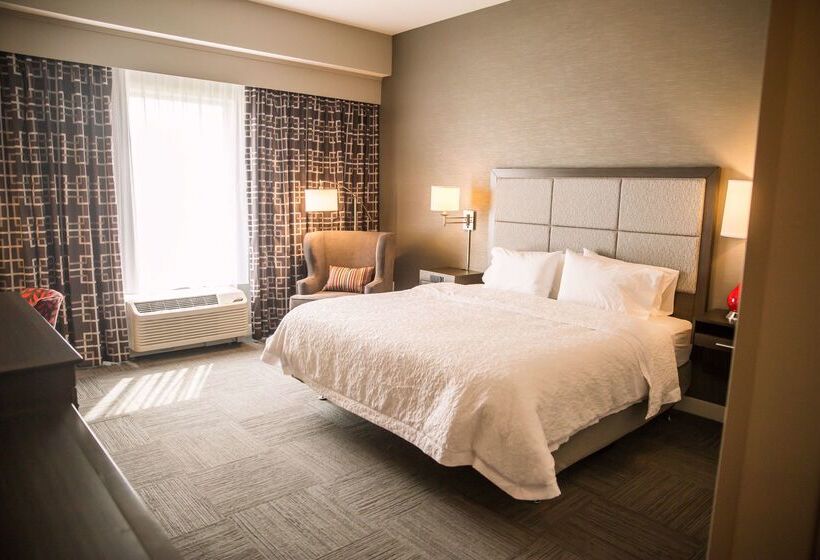 فندق Hampton Inn Pontiac