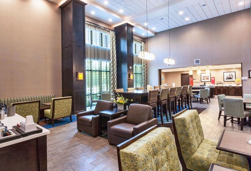 酒店 Hampton Inn & Suites Duluth North / Mall Area