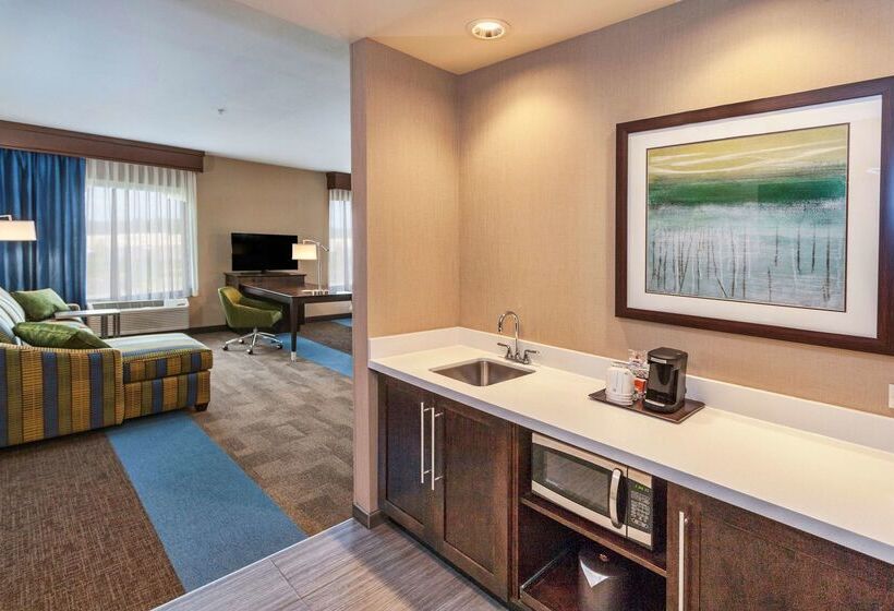 هتل Hampton Inn & Suites Duluth North / Mall Area