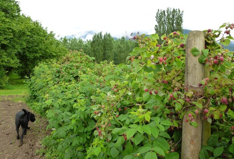 בית מלון כפרי Harrison Hammond House Farmstay