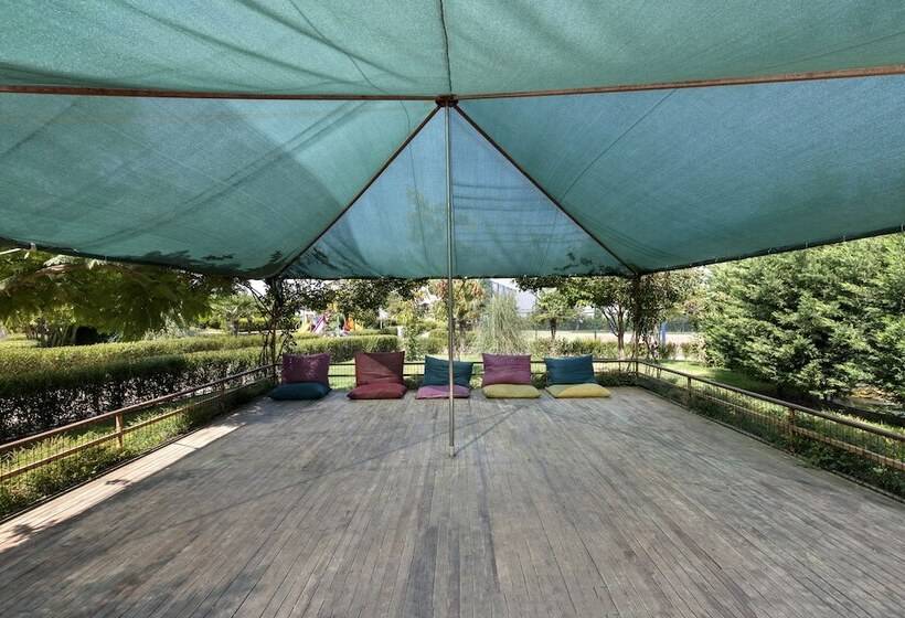 Отель Hattusa Vacation Thermal Club Erzin