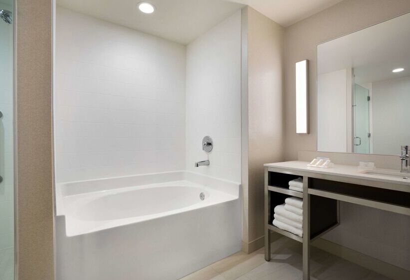 هتل Hilton Garden Inn Downtown Birmingham