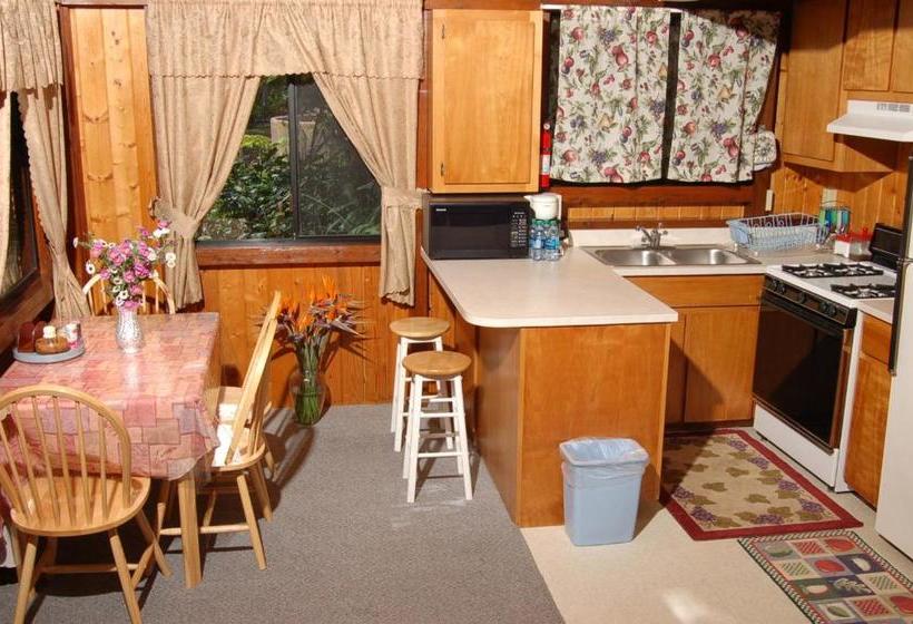 בית מלון כפרי Lava Lodge At Hale Kilauea