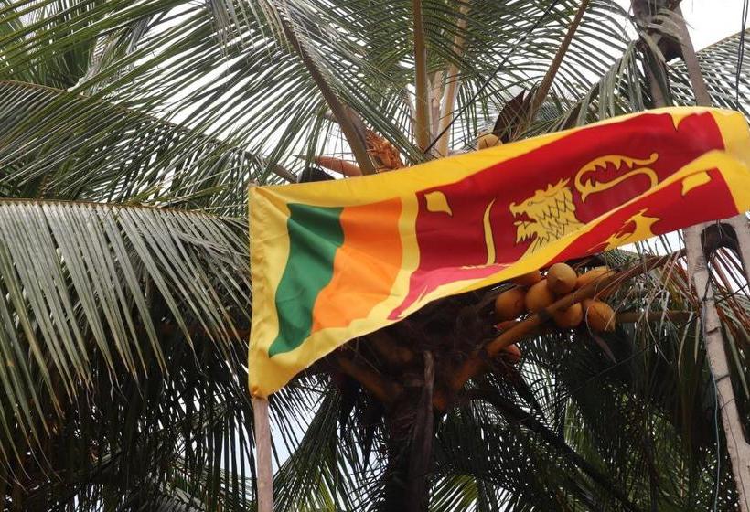 Отель Long Beach Guest House