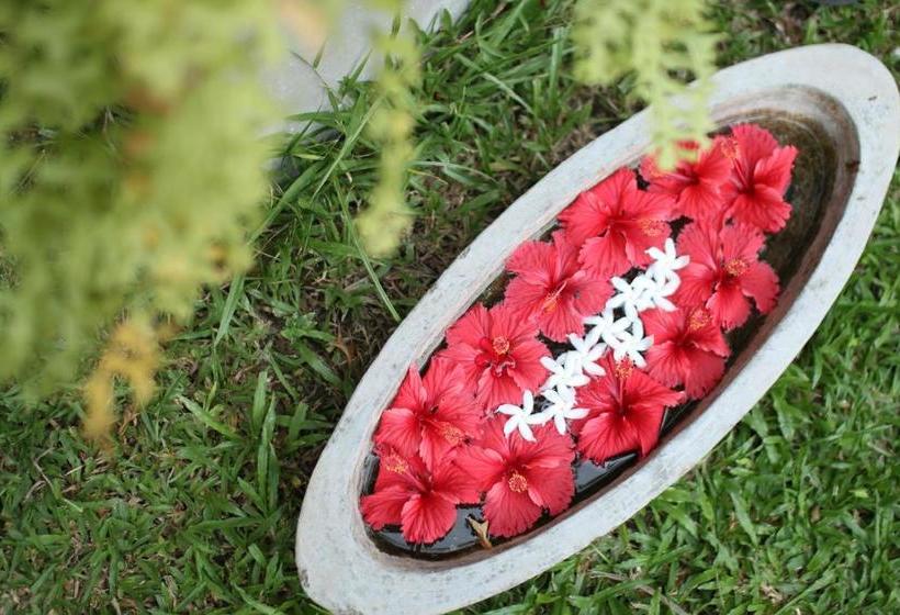 Отель Long Beach Guest House