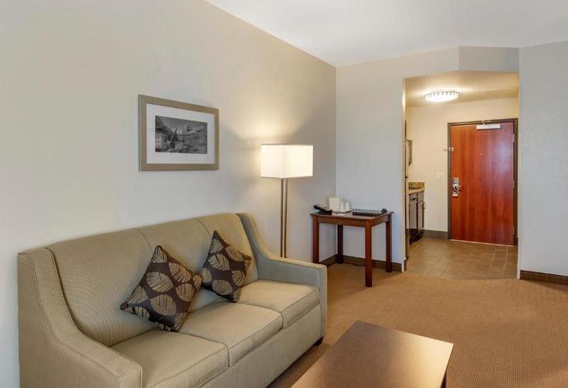 Отель Mainstay Suites Near Denver Downtown